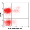 Interferon Gamma antibody, 502519, BioLegend, Immunocytochemistry image 