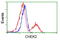 Checkpoint Kinase 2 antibody, LS-C114496, Lifespan Biosciences, Flow Cytometry image 