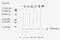 Fibroblast Growth Factor 2 antibody, GTX18629, GeneTex, Western Blot image 