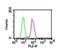 Component Of Inhibitor Of Nuclear Factor Kappa B Kinase Complex antibody, NBP2-27409, Novus Biologicals, Flow Cytometry image 