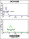 Protein Disulfide Isomerase Family A Member 3 antibody, 61-599, ProSci, Immunofluorescence image 