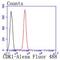 Cyclin Dependent Kinase 1 antibody, GTX01143, GeneTex, Flow Cytometry image 