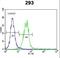 C-Type Lectin Domain Containing 11A antibody, LS-C168827, Lifespan Biosciences, Flow Cytometry image 