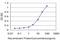 Coenzyme A Synthase antibody, H00080347-M05, Novus Biologicals, Enzyme Linked Immunosorbent Assay image 