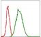 Glucose-6-Phosphate Dehydrogenase antibody, MA5-15921, Invitrogen Antibodies, Flow Cytometry image 