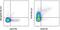 TNF Receptor Superfamily Member 18 antibody, 25-5874-80, Invitrogen Antibodies, Flow Cytometry image 