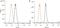 Desmoglein 3 antibody, NB100-1643, Novus Biologicals, Flow Cytometry image 