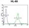 KH Domain Containing 3 Like, Subcortical Maternal Complex Member antibody, abx026164, Abbexa, Flow Cytometry image 