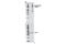 BRCA1 Associated Protein 1 antibody, 9373S, Cell Signaling Technology, Western Blot image 