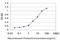 Ubiquitin Conjugating Enzyme E2 J1 antibody, H00051465-M01, Novus Biologicals, Enzyme Linked Immunosorbent Assay image 