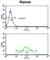 Electron Transfer Flavoprotein Dehydrogenase antibody, abx033036, Abbexa, Western Blot image 