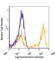 Lymphocyte antigen 6G antibody, 127614, BioLegend, Flow Cytometry image 