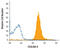 Carcinoembryonic Antigen Related Cell Adhesion Molecule 8 antibody, AF4246, R&D Systems, Western Blot image 