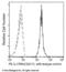 Interleukin 17 Receptor A antibody, 10895-MM06-P, Sino Biological, Flow Cytometry image 