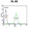 Nitric Oxide Synthase 1 Adaptor Protein antibody, abx025659, Abbexa, Western Blot image 