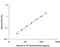 Interleukin 16 antibody, D1600, R&D Systems, Enzyme Linked Immunosorbent Assay image 