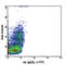 CD11b antibody, 101206, BioLegend, Flow Cytometry image 