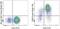 CD69 Molecule antibody, 78-0699-41, Invitrogen Antibodies, Flow Cytometry image 