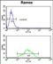 ETF dehydrogenase antibody, PA5-72484, Invitrogen Antibodies, Flow Cytometry image 