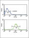 Peptide YY antibody, 61-793, ProSci, Flow Cytometry image 