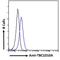 EPI64 protein antibody, LS-B5101, Lifespan Biosciences, Flow Cytometry image 