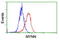 Myoneurin antibody, LS-C175176, Lifespan Biosciences, Flow Cytometry image 