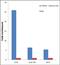 Histone Cluster 2 H2B Family Member F antibody, 710912, Invitrogen Antibodies, Chromatin Immunoprecipitation image 