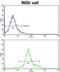 Homeobox B5 antibody, LS-C164980, Lifespan Biosciences, Flow Cytometry image 