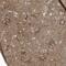 Calcium Voltage-Gated Channel Auxiliary Subunit Beta 2 antibody, PA5-57230, Invitrogen Antibodies, Immunohistochemistry frozen image 
