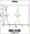 Cyclin-G1 antibody, 55-705, ProSci, Flow Cytometry image 