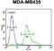 Endoplasmic Reticulum Oxidoreductase 1 Beta antibody, GTX53598, GeneTex, Flow Cytometry image 