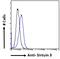 Kelch Like ECH Associated Protein 1 antibody, 42-391, ProSci, Enzyme Linked Immunosorbent Assay image 