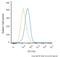 CD11b antibody, NB110-40766, Novus Biologicals, Flow Cytometry image 