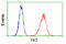 p68 antibody, LS-B13075, Lifespan Biosciences, Flow Cytometry image 