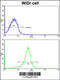 Four And A Half LIM Domains 1 antibody, 62-501, ProSci, Flow Cytometry image 