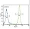 Ras antibody, LS-C99435, Lifespan Biosciences, Flow Cytometry image 