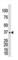 Galactokinase 1 antibody, abx033163, Abbexa, Western Blot image 