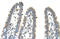 Carbamoyl-Phosphate Synthase 1 antibody, 30-097, ProSci, Enzyme Linked Immunosorbent Assay image 