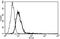 gp80 antibody, AM31357FC-N, Origene, Flow Cytometry image 