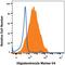 Oligodendrocyte Marker O4 antibody, MAB1326, R&D Systems, Flow Cytometry image 