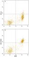 Fc Receptor Like 1 antibody, MAB7286, R&D Systems, Flow Cytometry image 