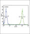 Lactotransferrin antibody, 63-597, ProSci, Immunofluorescence image 