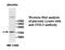 Insulin Like 3 antibody, MBS415487, MyBioSource, Western Blot image 