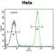 RNA Polymerase III Subunit H antibody, abx032349, Abbexa, Western Blot image 