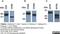 TNF Superfamily Member 18 antibody, MCA2417GA, Bio-Rad (formerly AbD Serotec) , Enzyme Linked Immunosorbent Assay image 