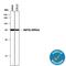 Heat shock 70 kDa protein 1A/1B antibody, AF1663, R&D Systems, Western Blot image 