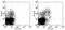 Toll Like Receptor 2 antibody, 11-9022-80, Invitrogen Antibodies, Flow Cytometry image 