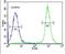 Inhibitor Of Bruton Tyrosine Kinase antibody, PA5-24224, Invitrogen Antibodies, Flow Cytometry image 