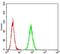 5-Hydroxytryptamine Receptor 3A antibody, NBP2-61781, Novus Biologicals, Enzyme Linked Immunosorbent Assay image 