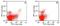 Toll Like Receptor 3 antibody, MCA5891F, Bio-Rad (formerly AbD Serotec) , Flow Cytometry image 